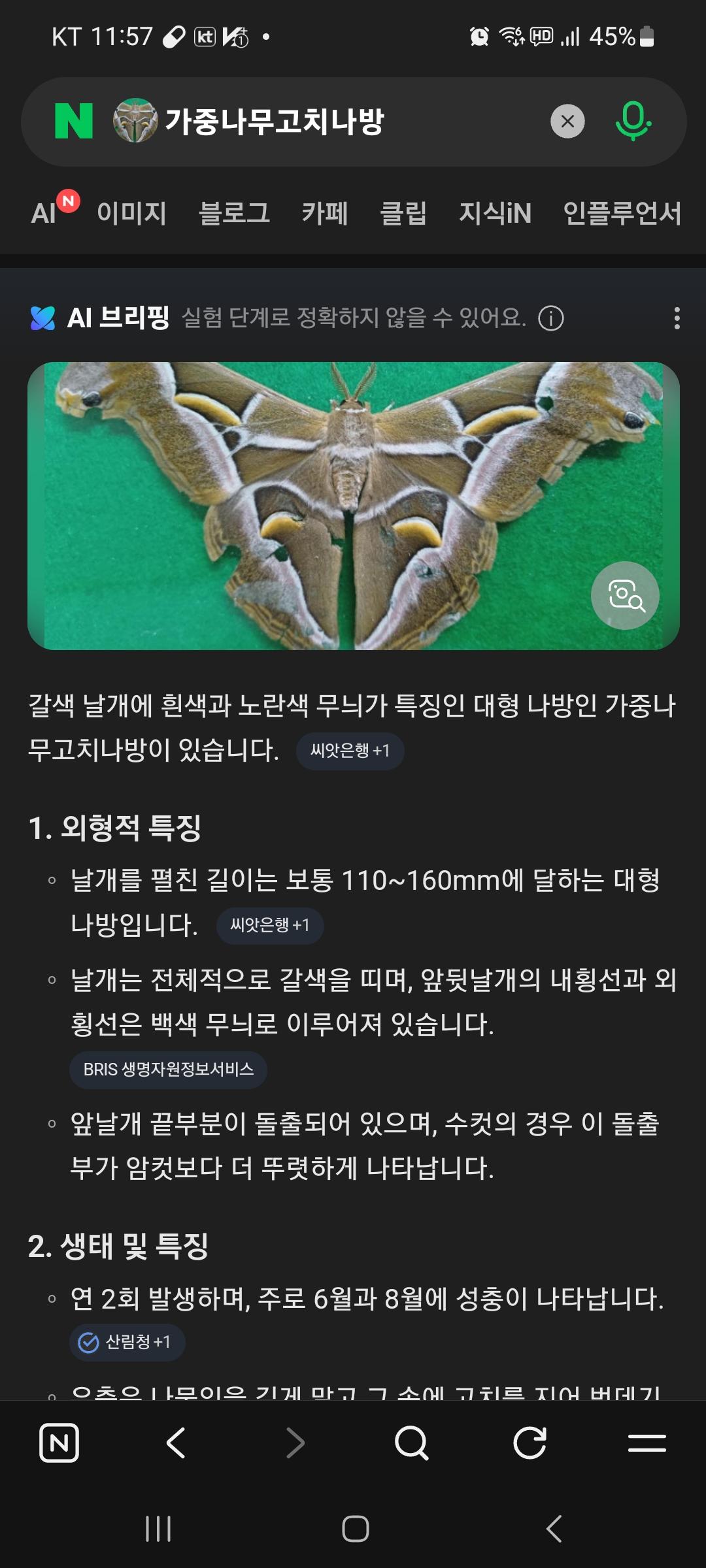 Screenshot_20260608_235741_NAVER.jpg