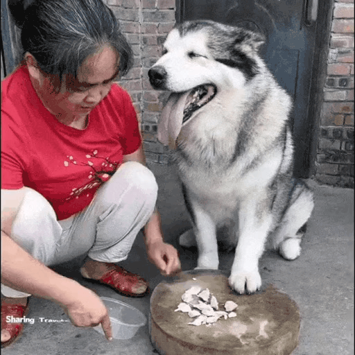 1000051974.gif