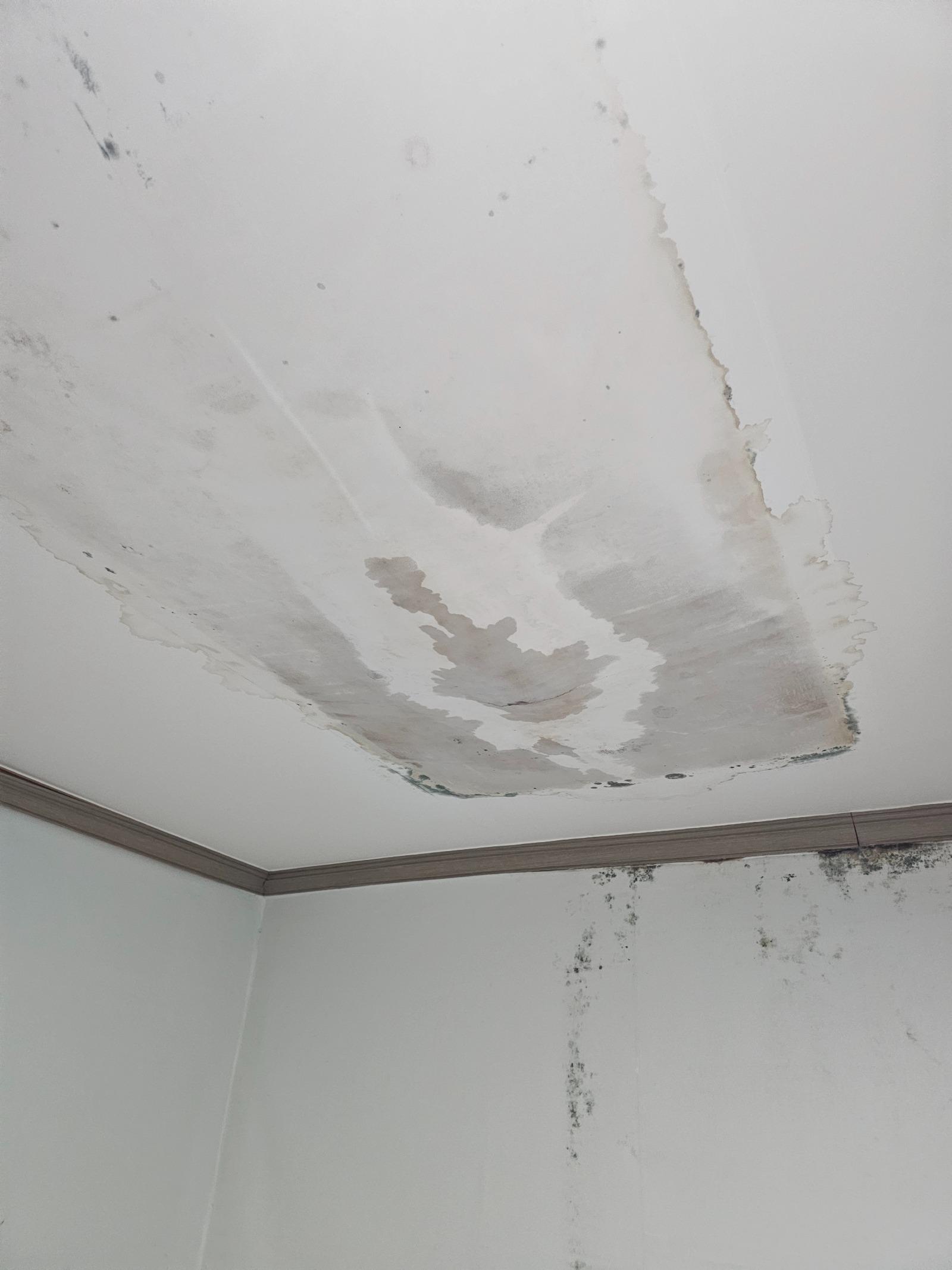 1000121915.jpg