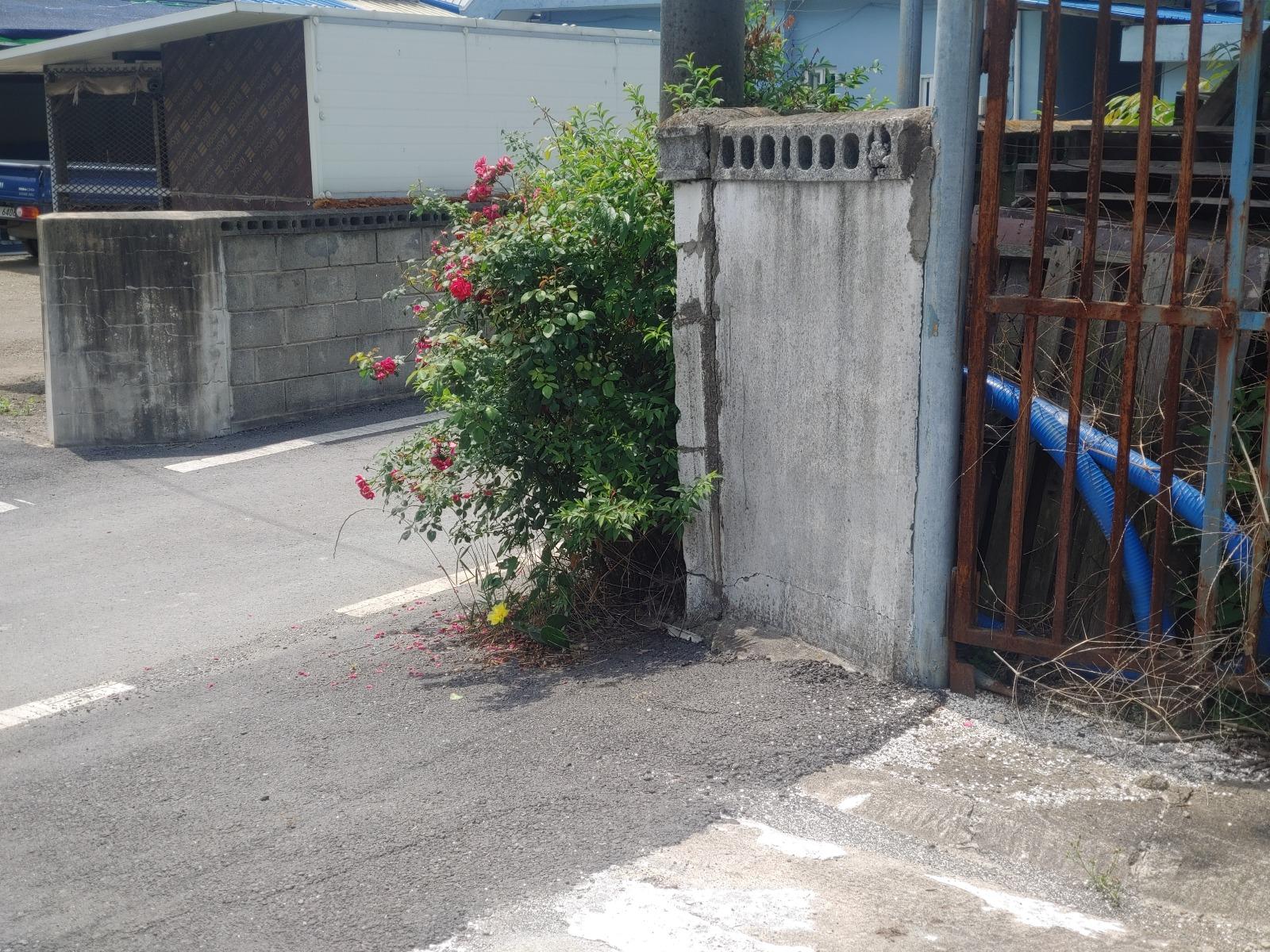 20260609_111446.jpg