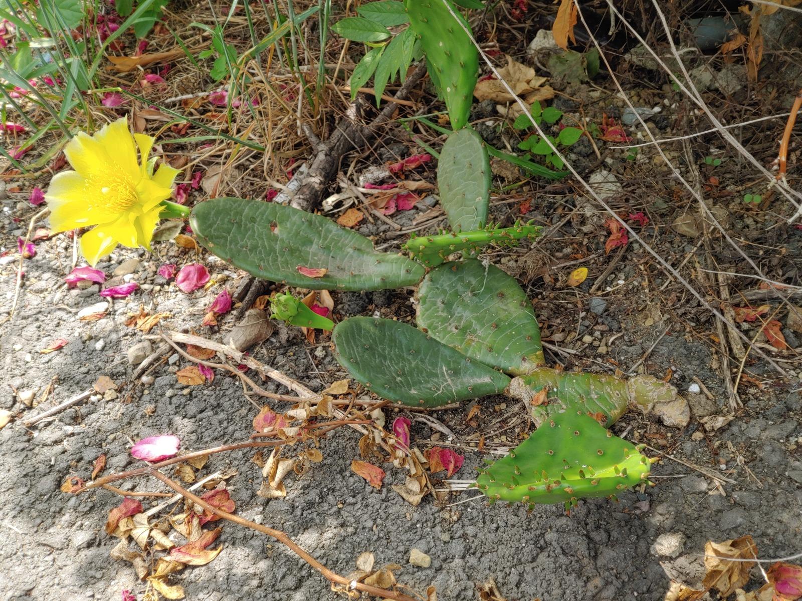 20260609_111557.jpg