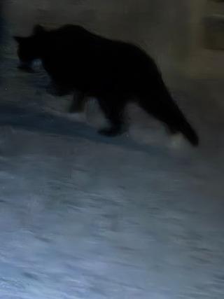 20260605_232353.jpg