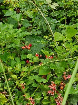 20260607_110837.jpg
