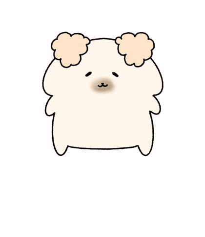 KakaoTalk_20260611_162903723.gif