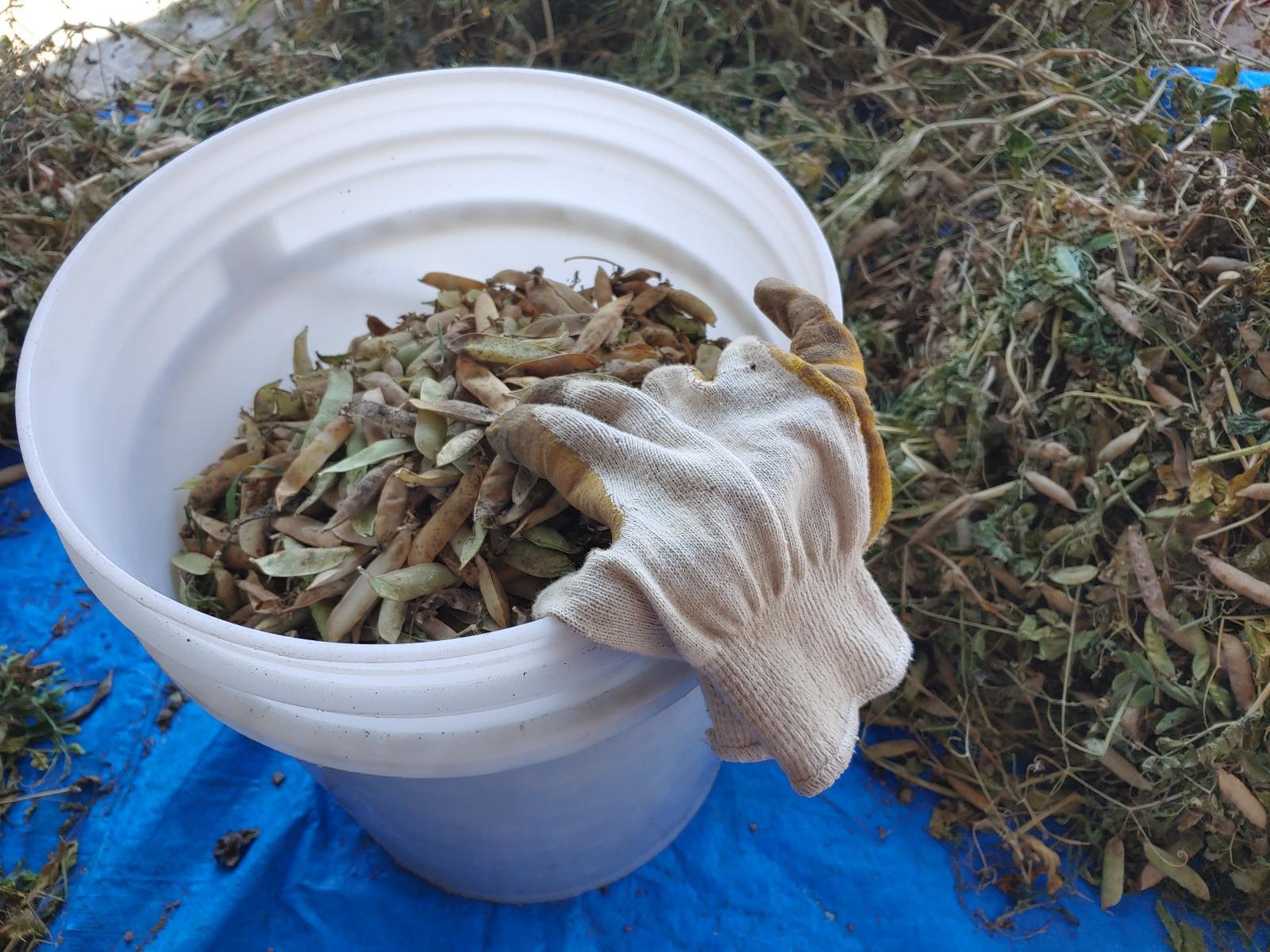 20260612_141937.jpg