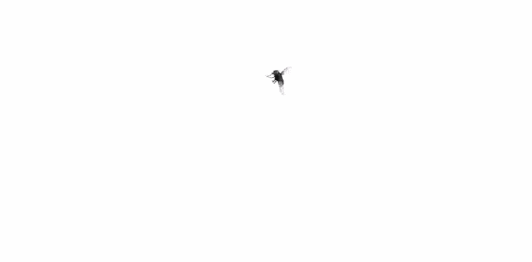 Screen_Recording_20260613_221537_TikTok_1.gif