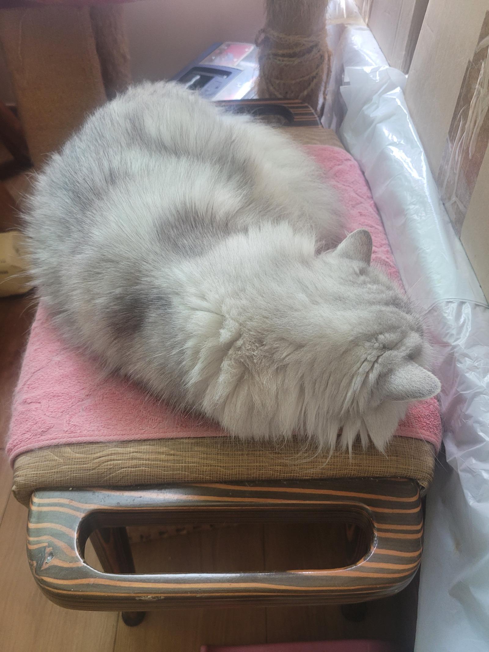 1000016997.jpg