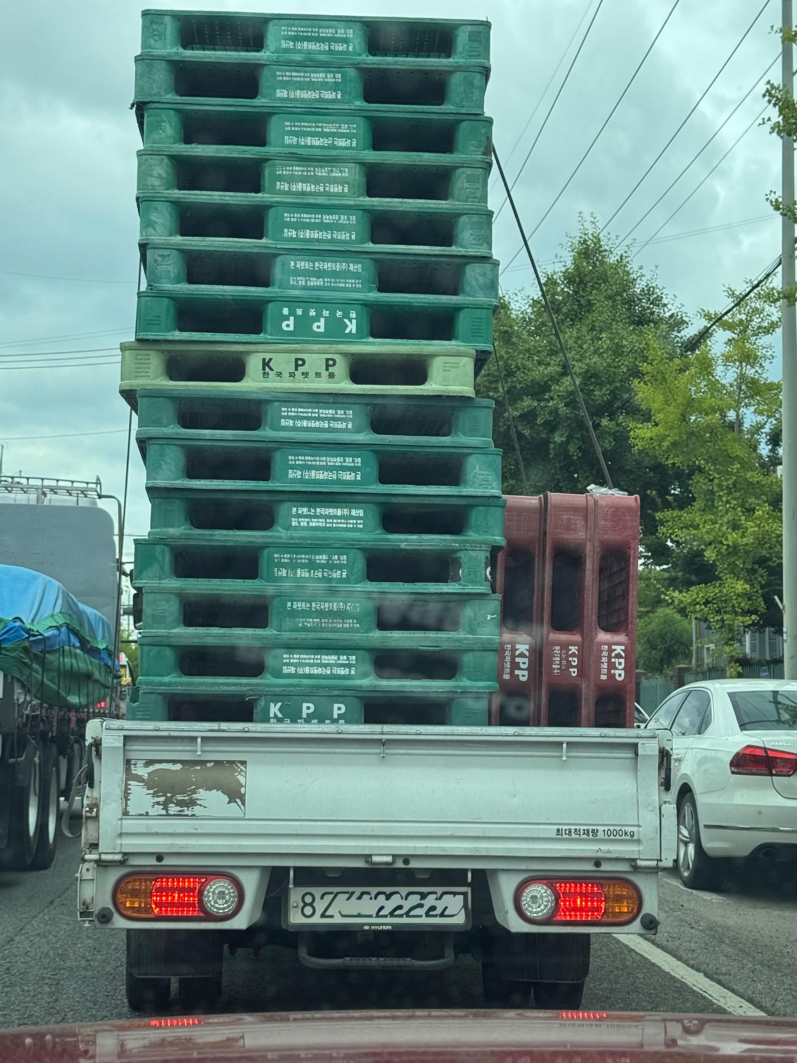 IMG_9987.jpeg