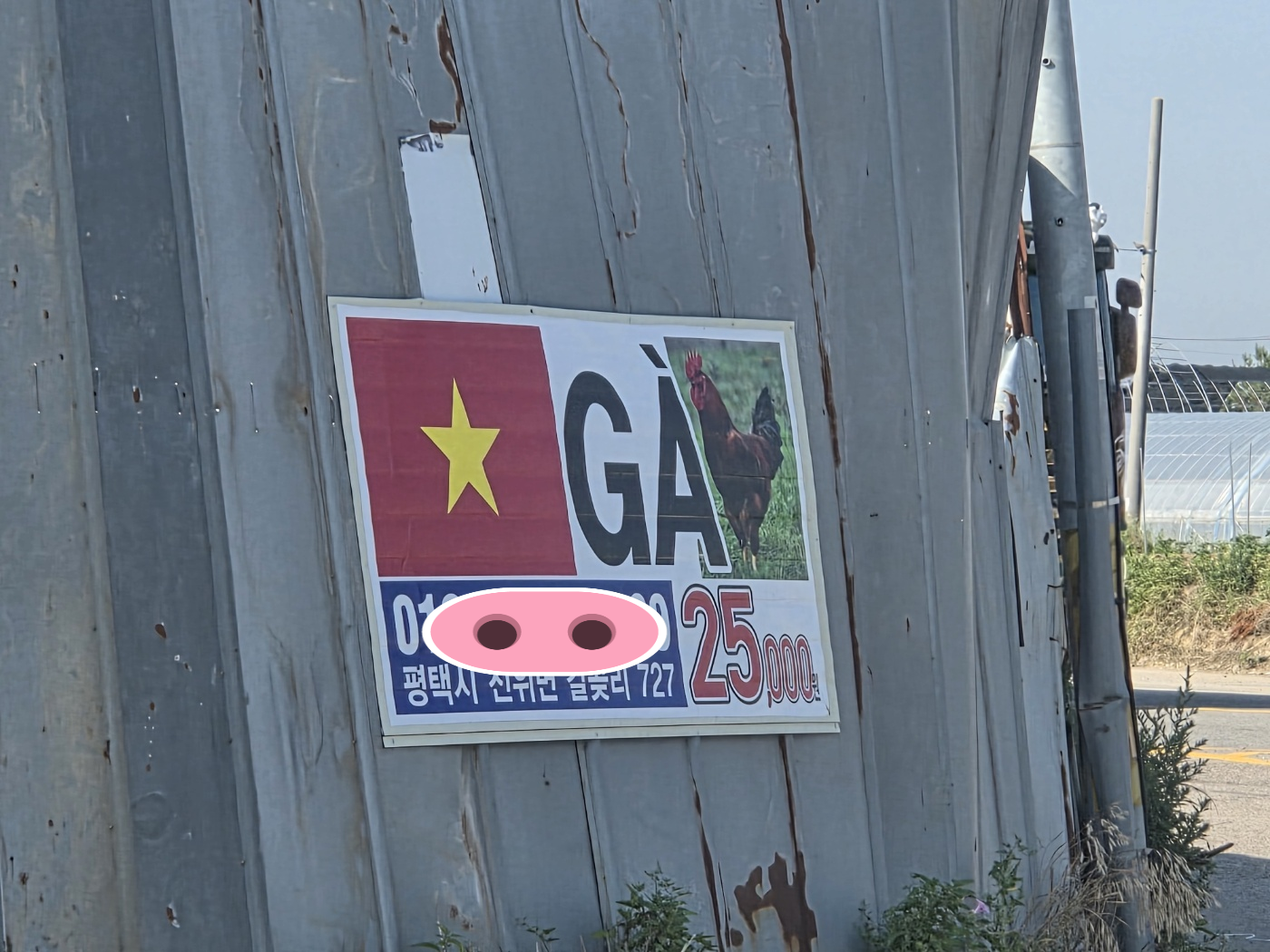 제목 없음.png