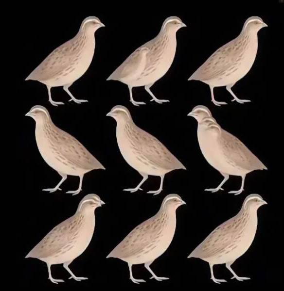 1000041216.jpg