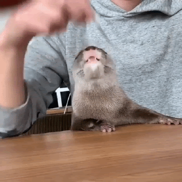 unnamed.gif