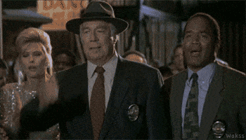 471629255_466561392870183_7219537996891479018_n.gif