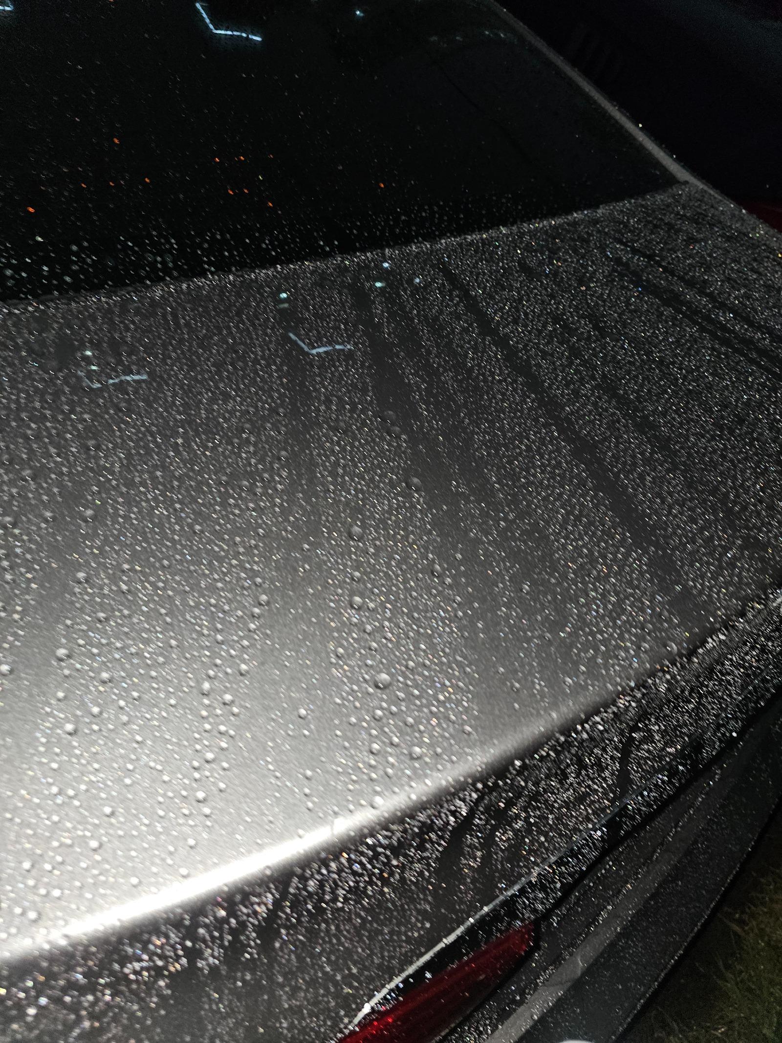 20260619_202752.jpg