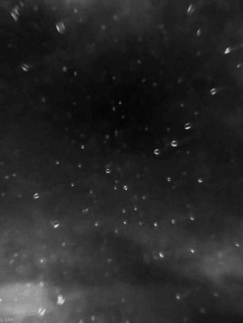 tumblr_mckf1zd1q61risa1ro1_500.gif