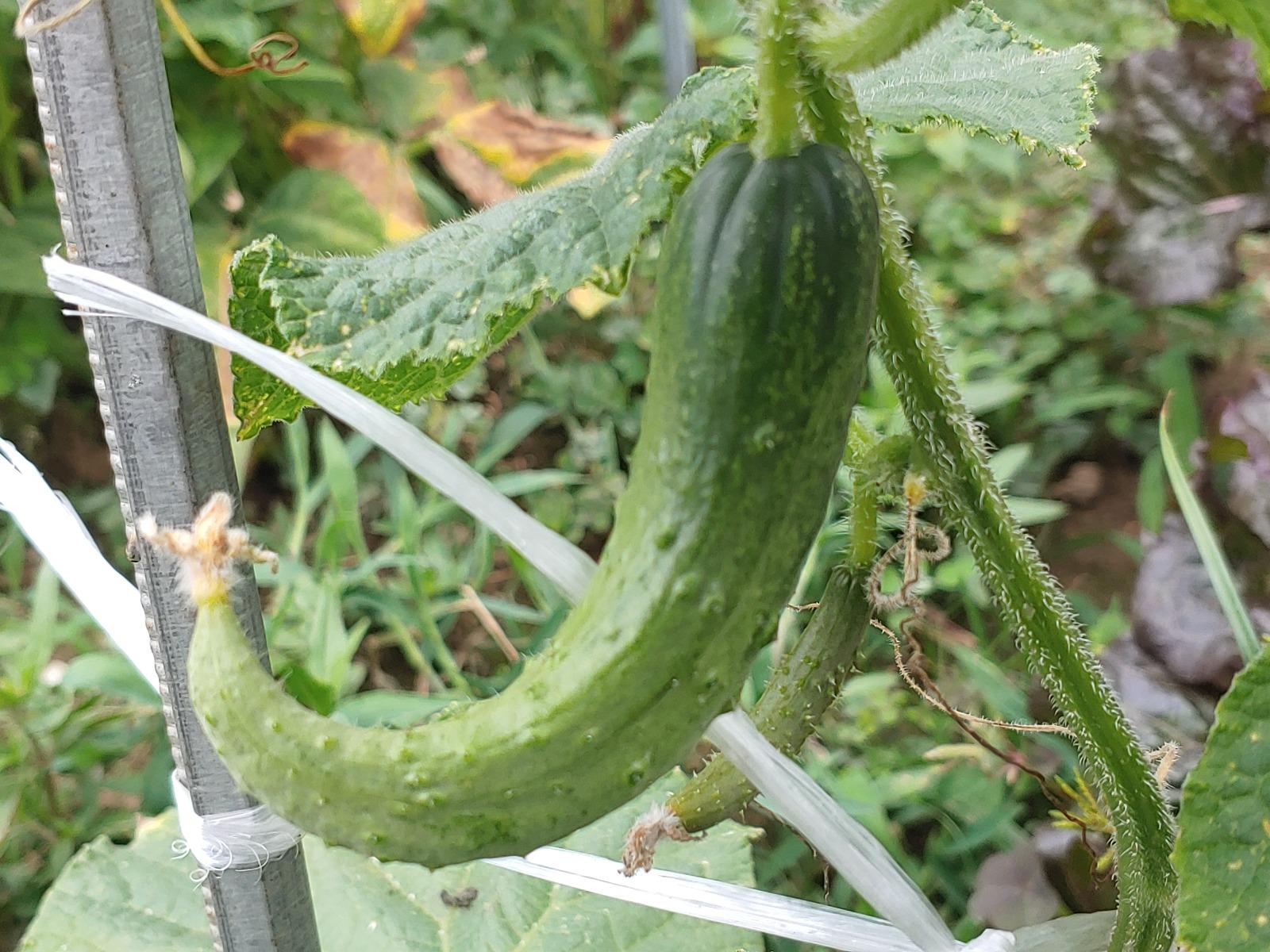 20260621_172519.jpg