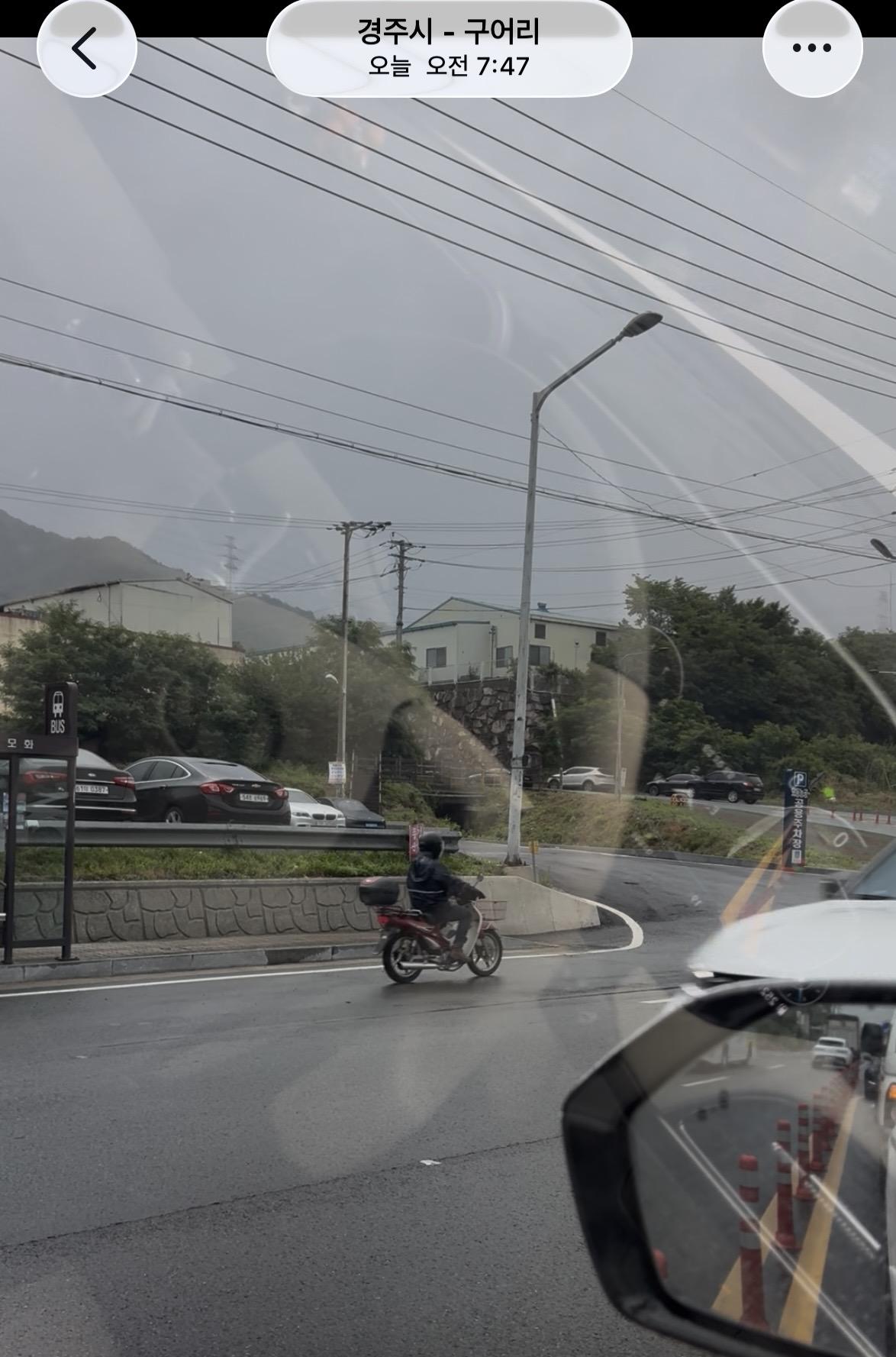 IMG_1978.jpeg