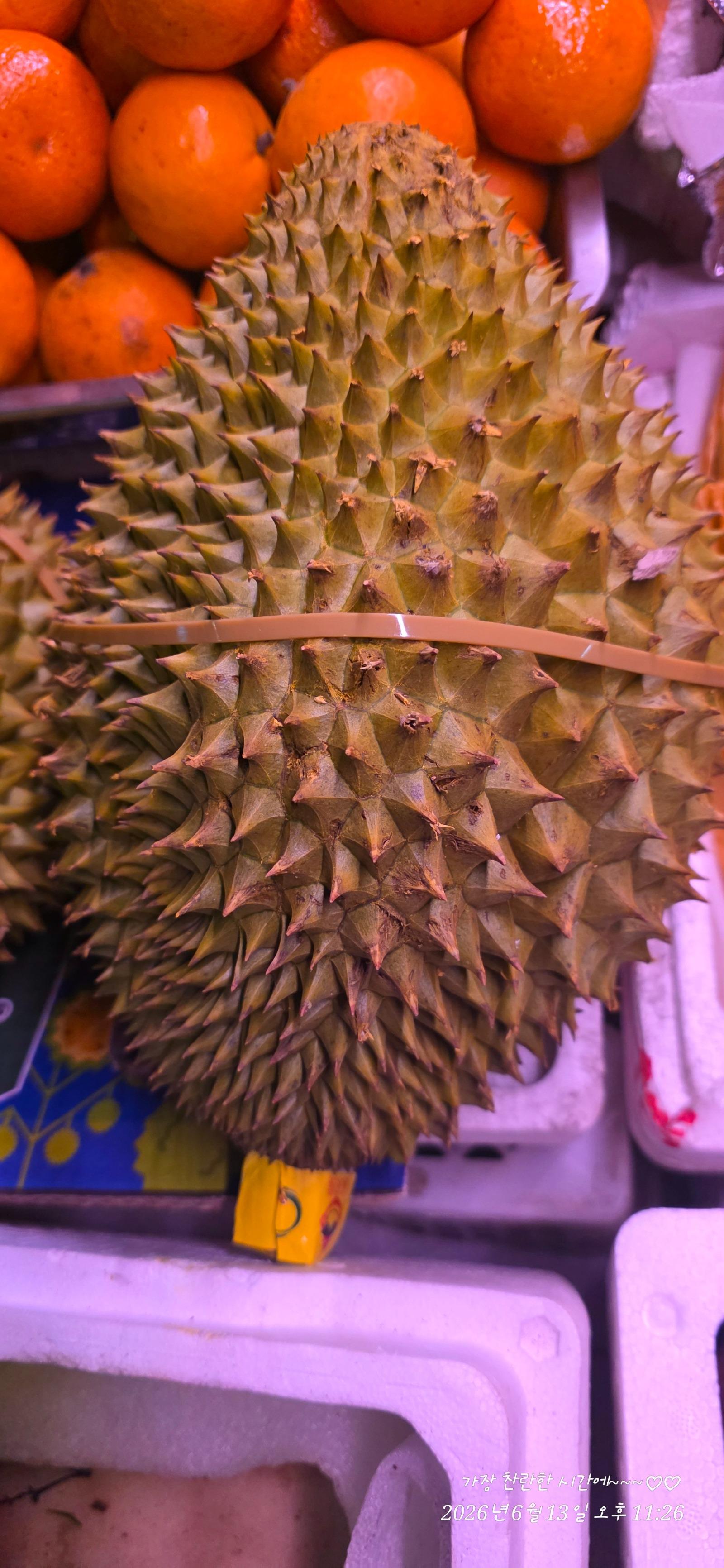 1000071120.jpg