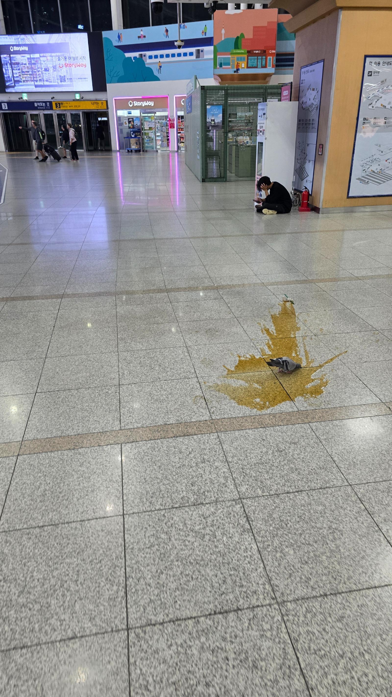 클릭하시면 원본 이미지를 보실 수 있습니다.
