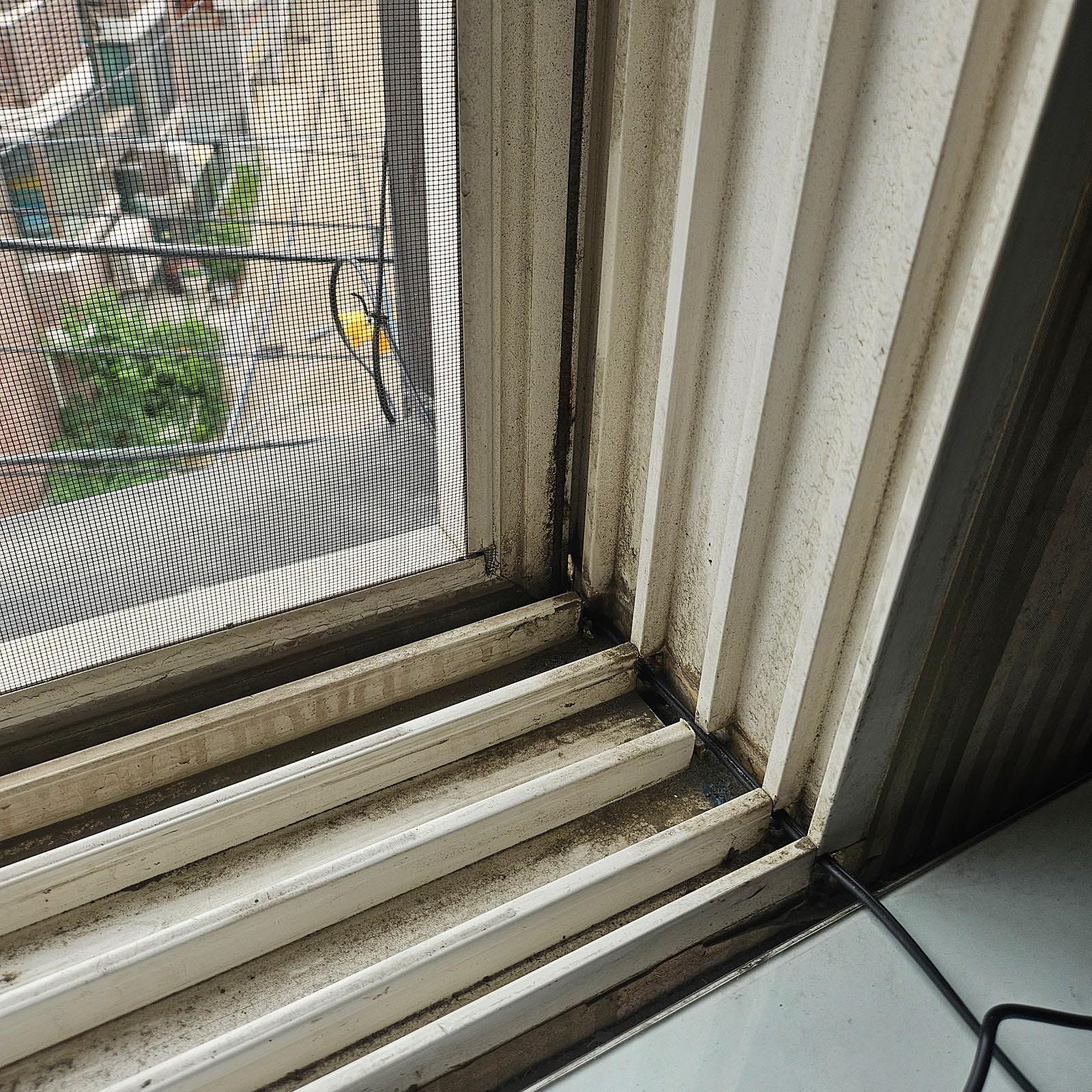 20260624_144105.jpg