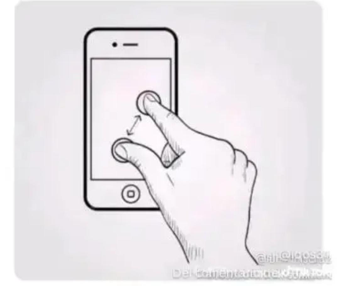 1000174104.jpg