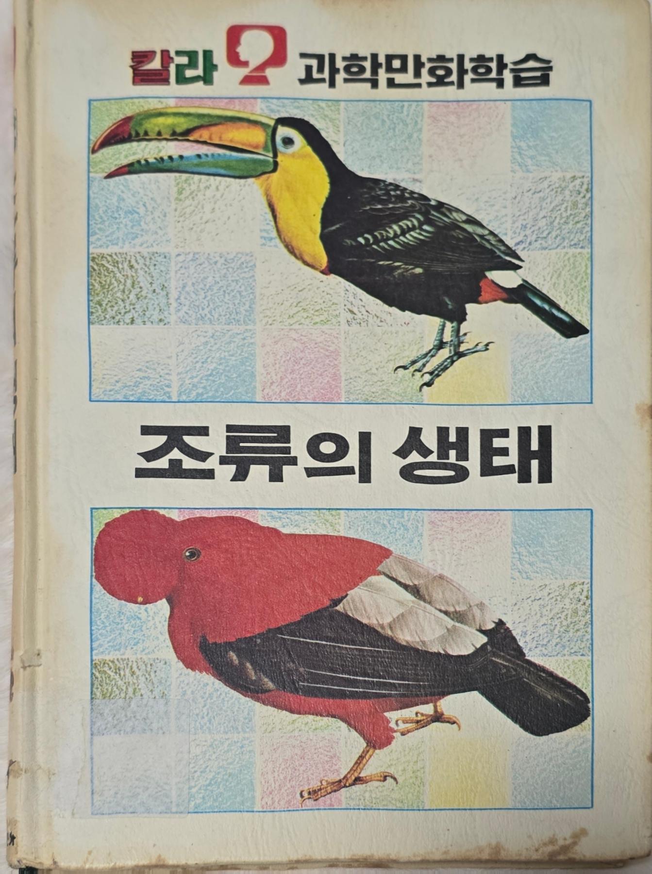 22546.jpg