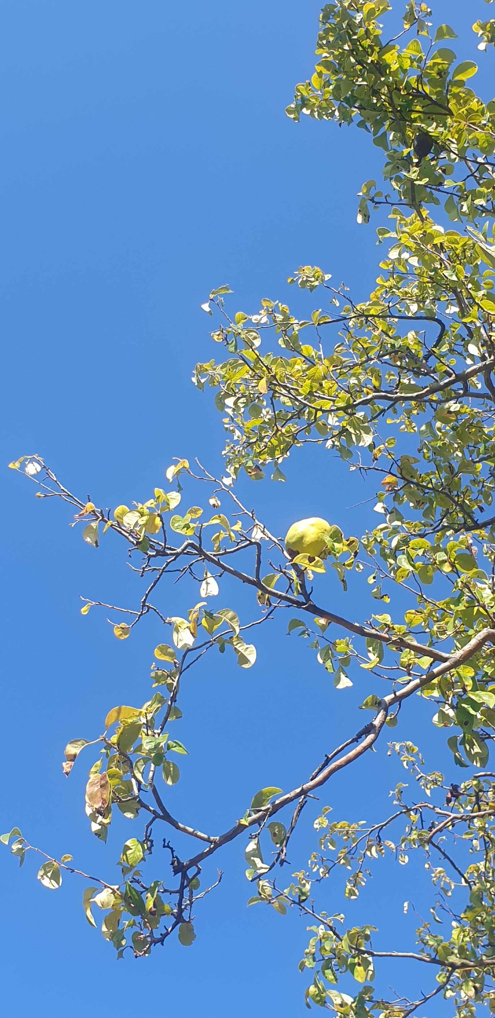 20261008_144005.jpg