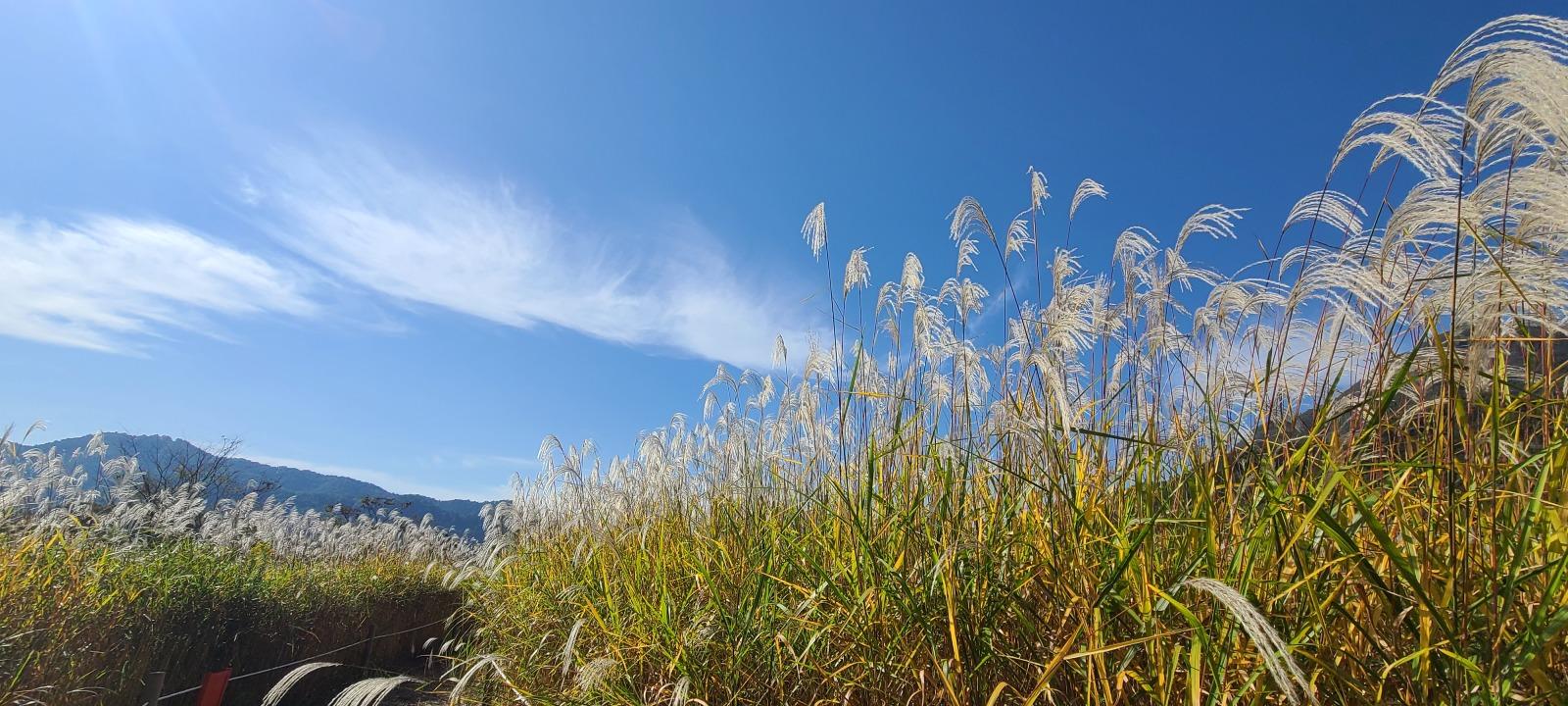 20261009_102957.jpg
