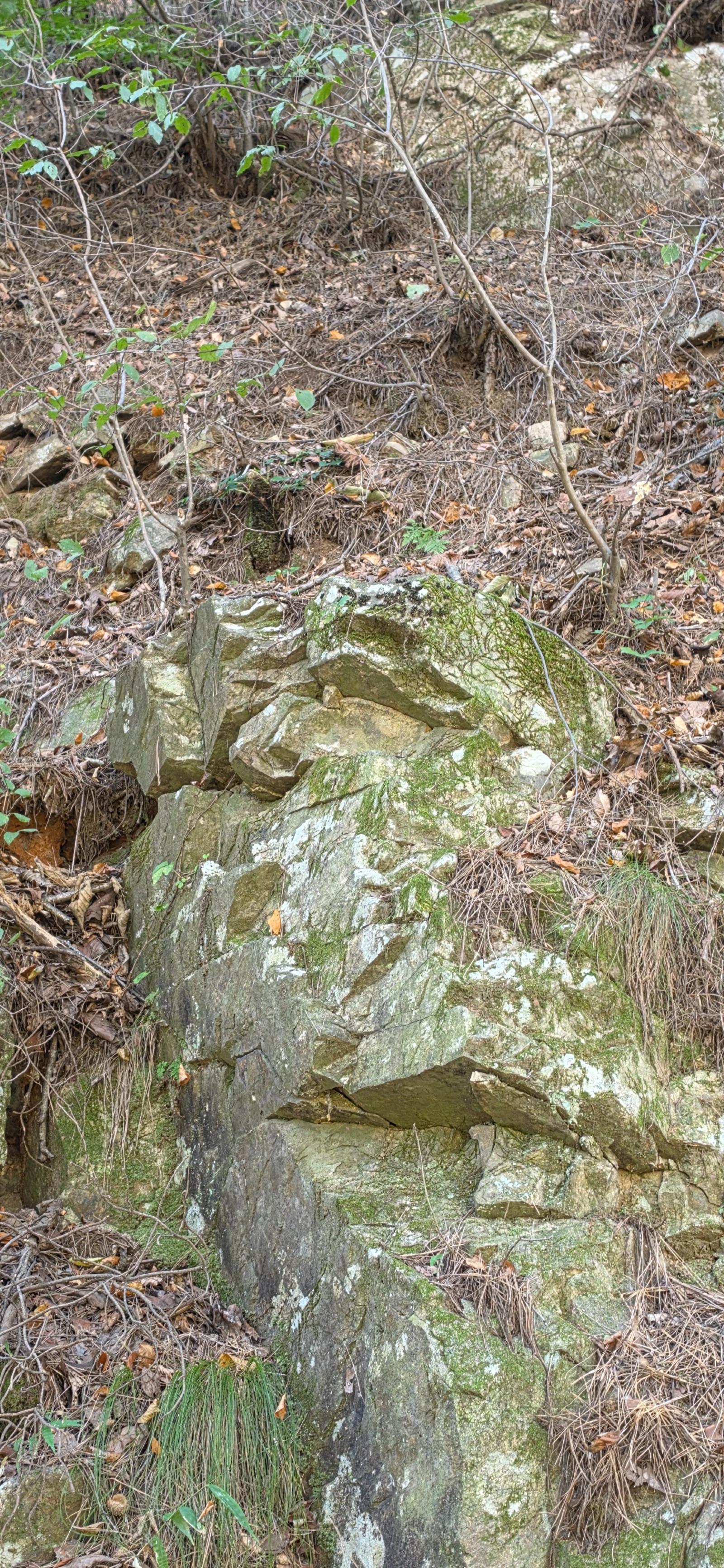 20261005_144427.jpg