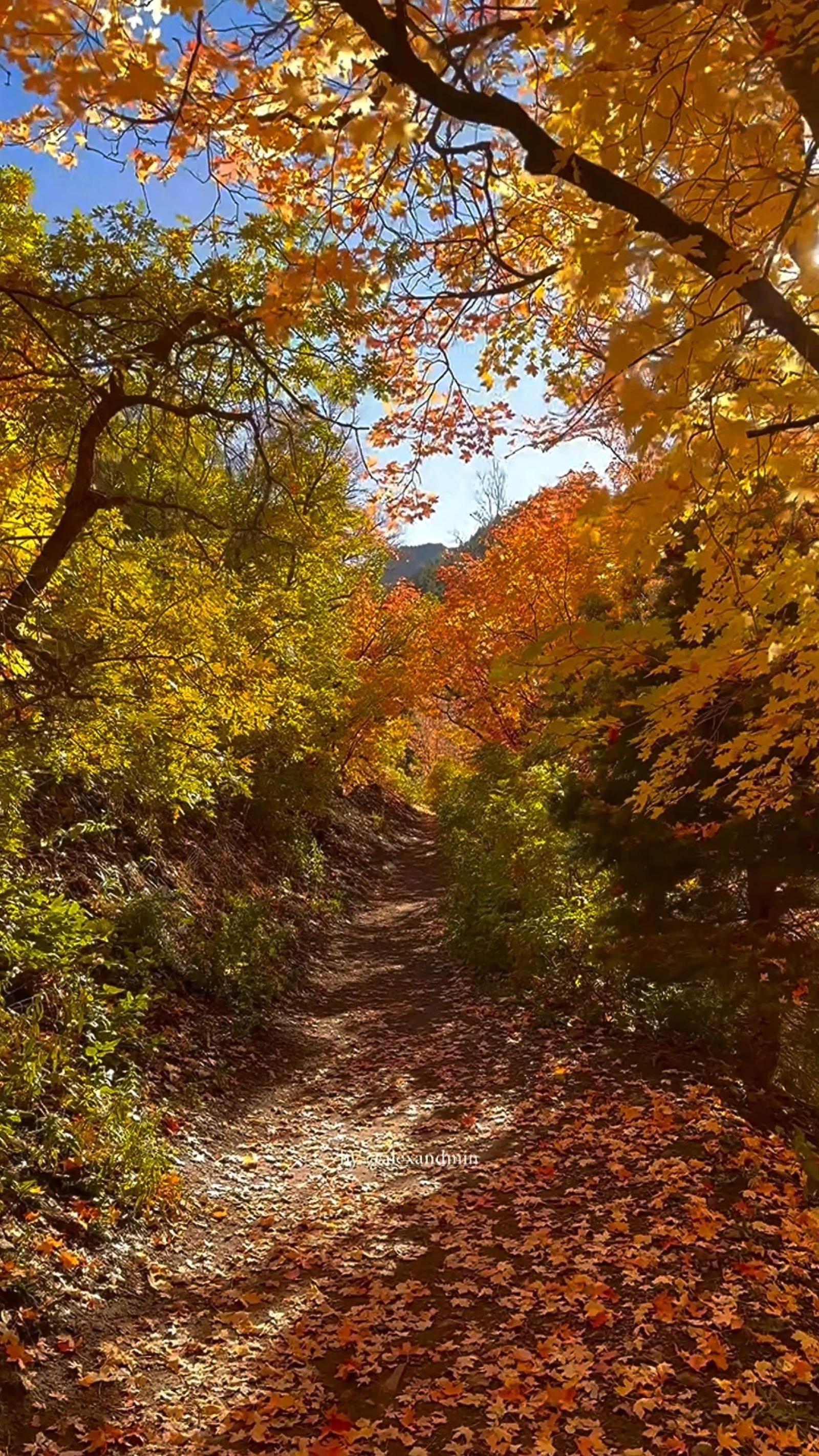 VideoCapture_20261009-174033.jpg