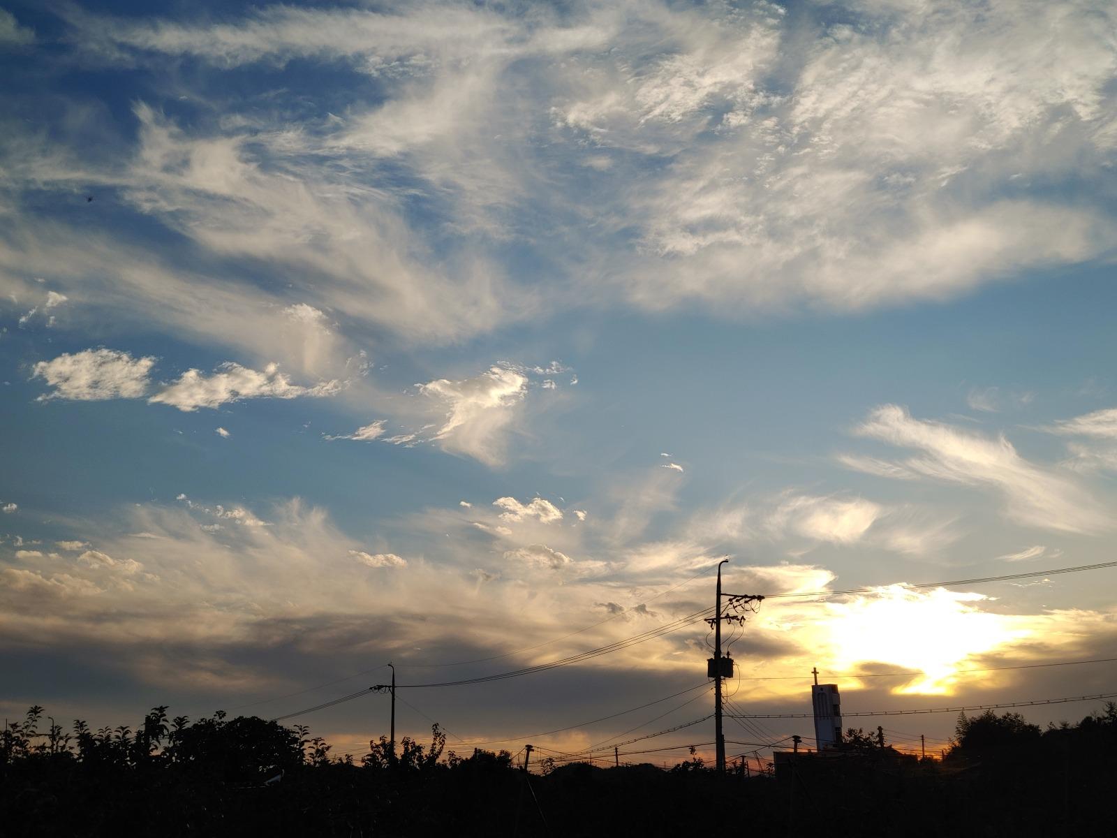 20261009_173020.jpg