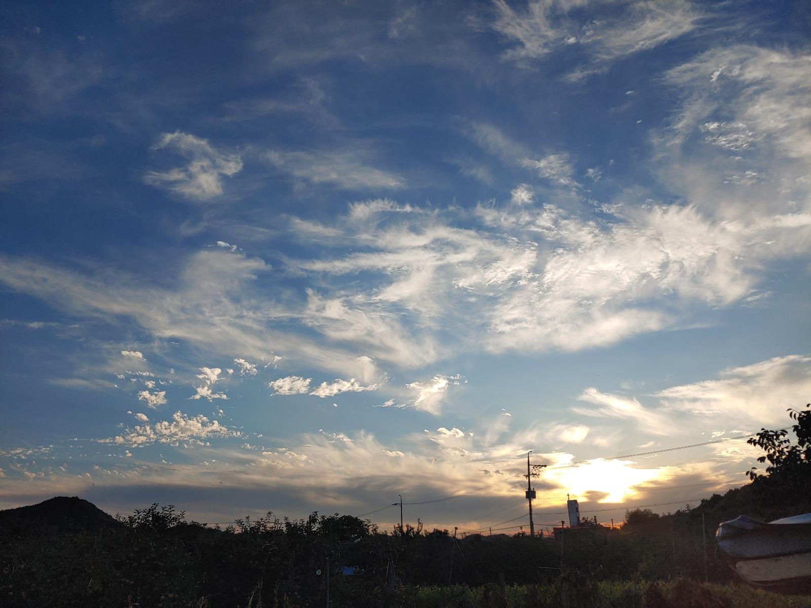 20261009_173011.jpg