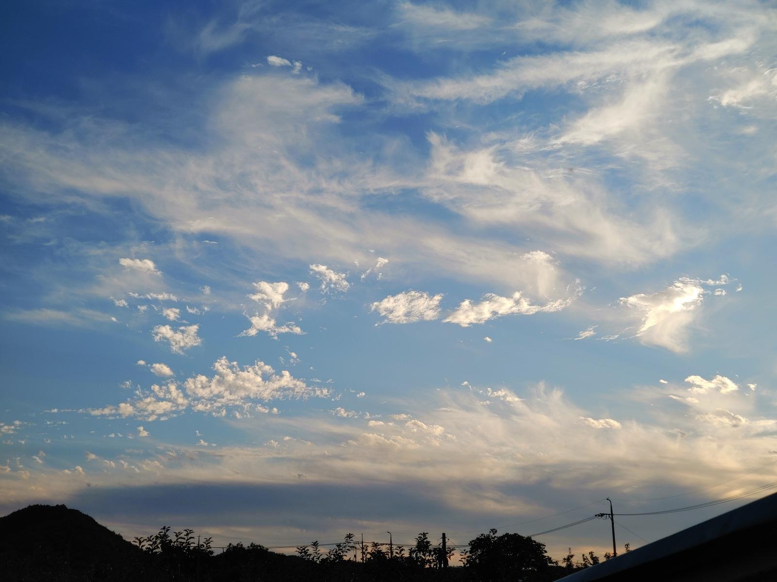 20261009_172954.jpg
