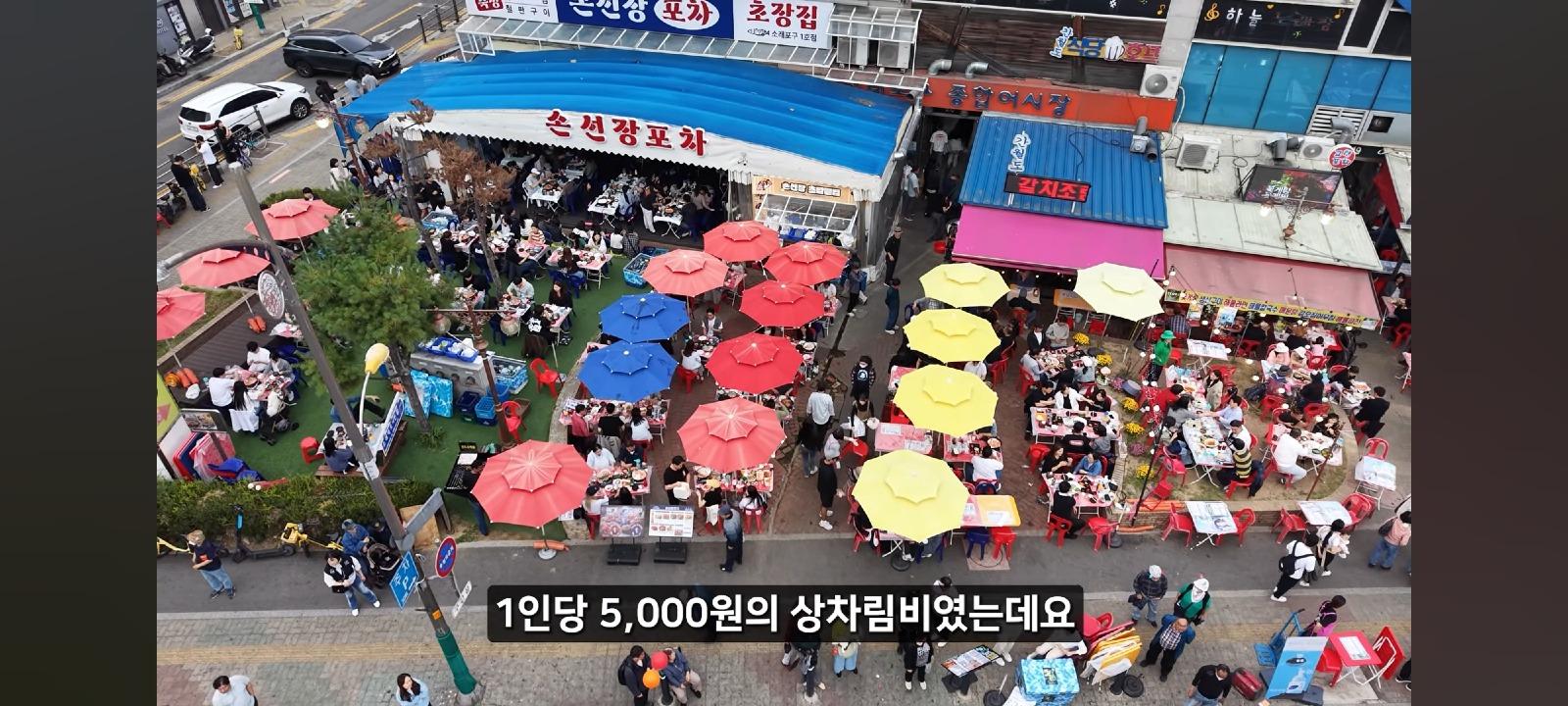 1000063691.jpg