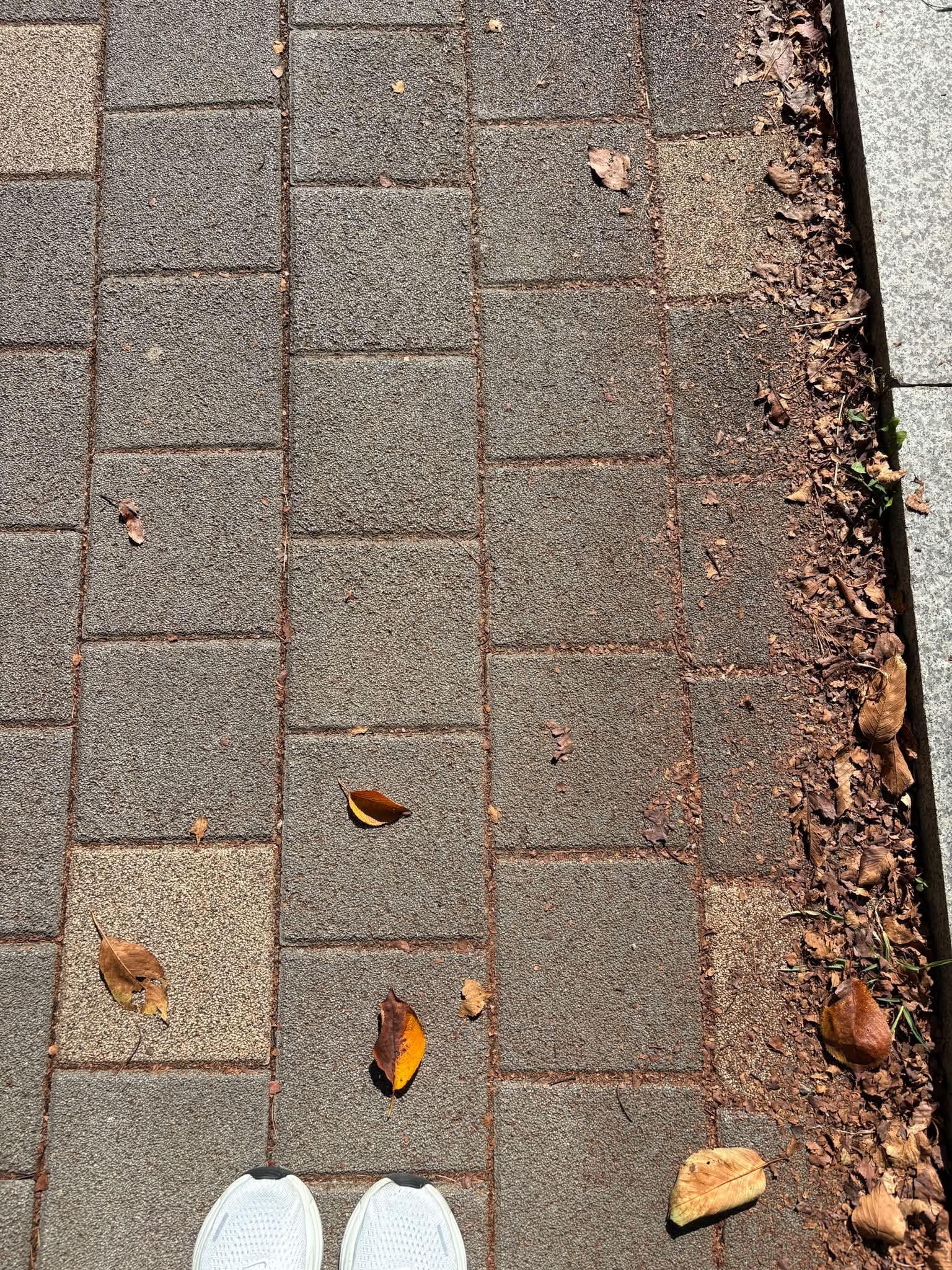 1000027597.jpg