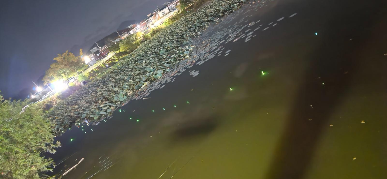 575.jpg