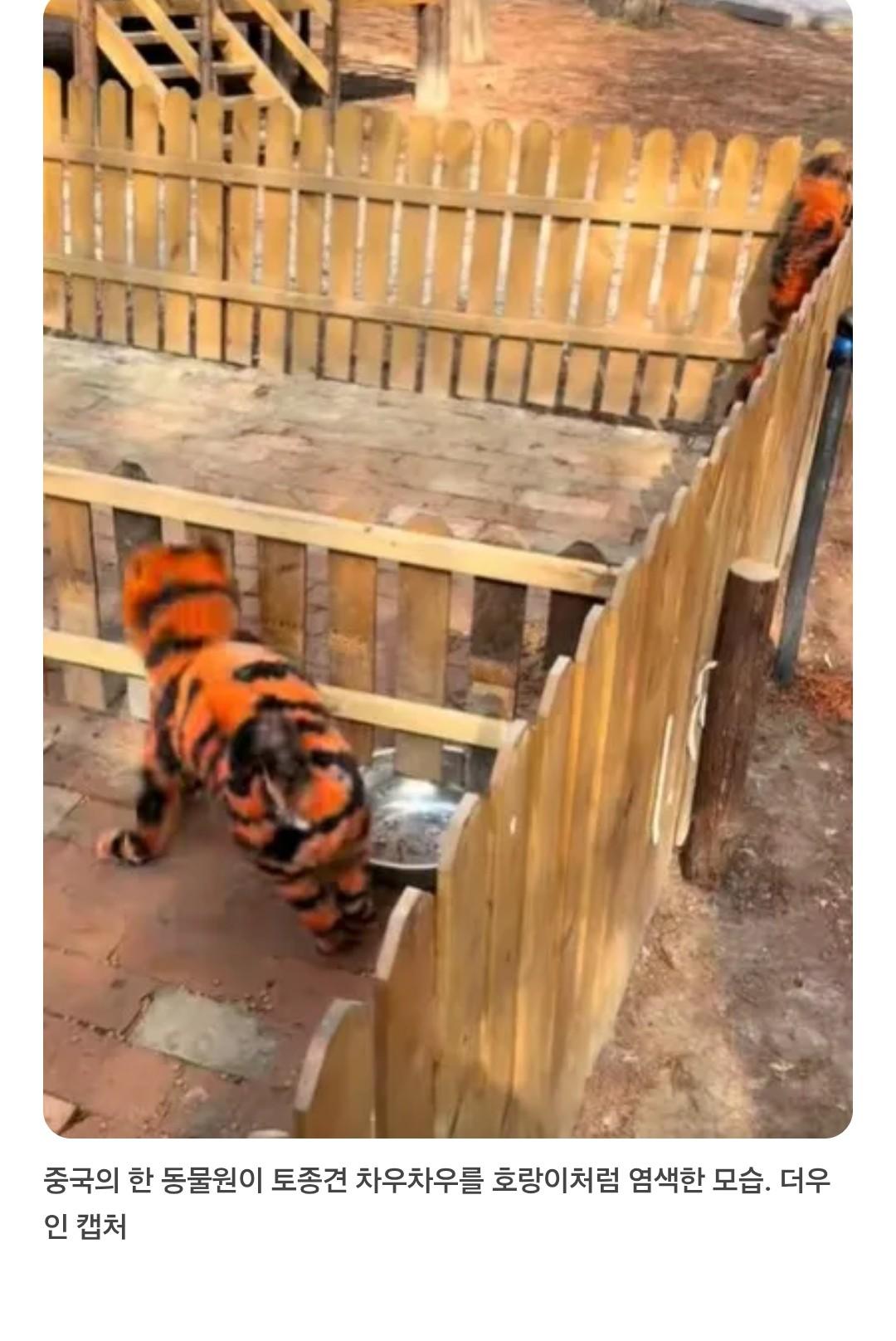 1000044642.jpg
