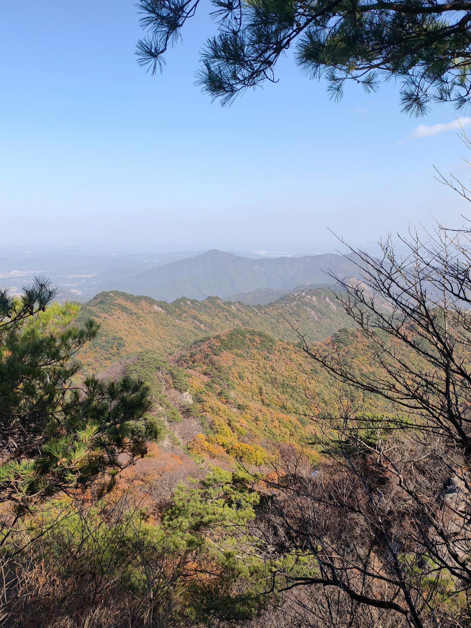 클릭하시면 원본 이미지를 보실 수 있습니다.