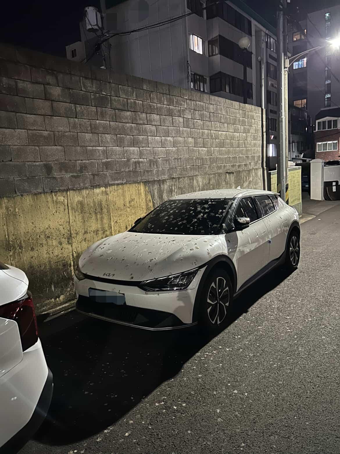 550309772_2329718190821459_1537967547559716801_n (1).jpg