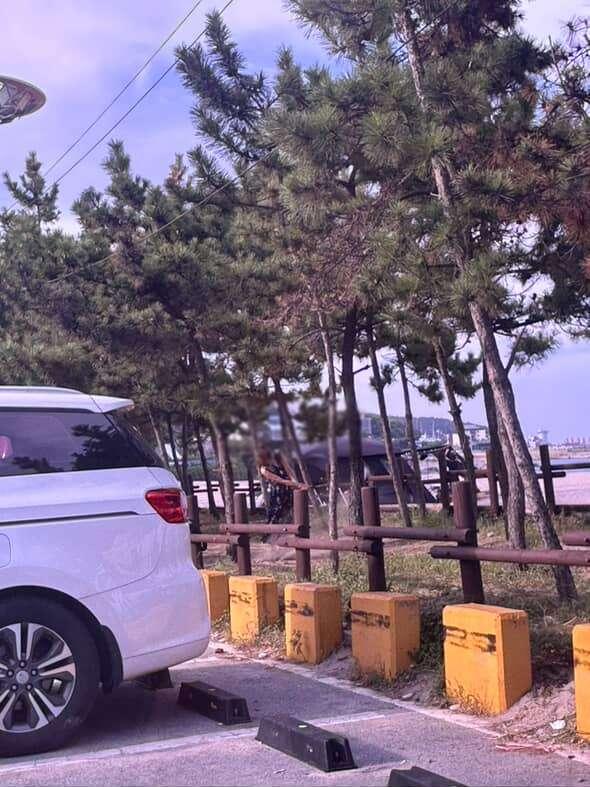 550356149_1493387455121121_5368052012537266953_n (1).jpg