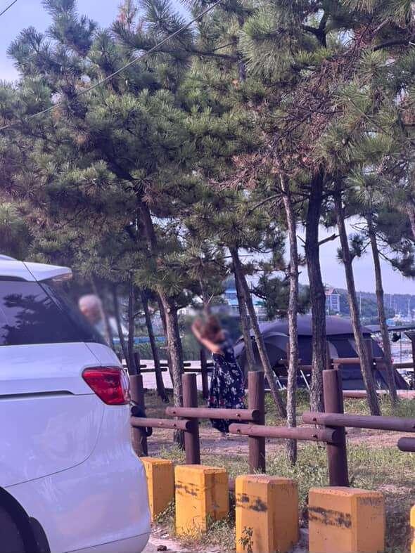 550442459_808933554942009_1201195178026083868_n (1).jpg