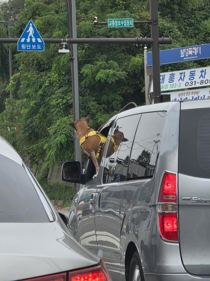 552707915_804502158729742_7054347055213402654_n (1).jpg