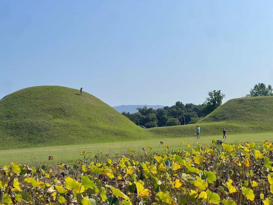 인스타 DM 제보-내용-경주 사람이에요...애는 능 꼭대기까지 올라가는데애 아빠는 좋다고 동영상 찍고 있네요.한국 사람 맞는지 ㅡㅡ다른 애도 올라가려는데왜 저러나 싶네요...jpg