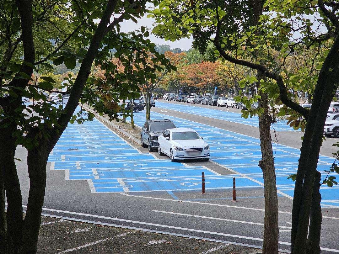 557569966_1199026592043696_4321578663939062607_n (1).jpg