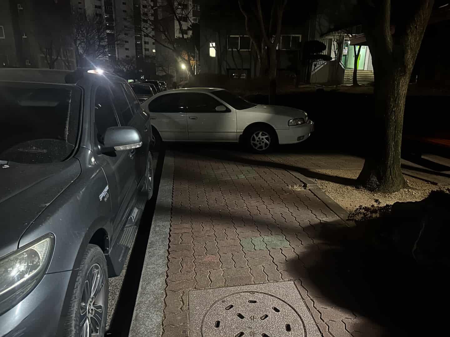 615822183_1586068422313588_2064250189805825874_n.jpg