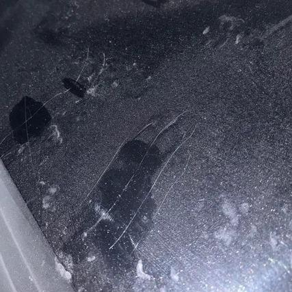 보배드림 인스타 DM 제보날씨가 추워진다고 지하주차장에 고양이 밥을 주면 고양이 차사고 위험이 있습니다.고양이 안전을 위해 주차장에 밥을 주는 행위는 고양이 안전을 위협합니 (1).jpg
