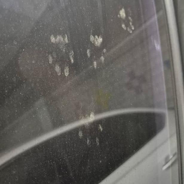 보배드림 인스타 DM 제보날씨가 추워진다고 지하주차장에 고양이 밥을 주면 고양이 차사고 위험이 있습니다.고양이 안전을 위해 주차장에 밥을 주는 행위는 고양이 안전을 위협합니 (2).jpg