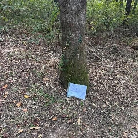 보배드림 인스타 DM 제보뒷산 산책하다 도토리 가져가지 말라는 문구를 목격했습니다.법적으로 불법입니다.도토리는 다람쥐, 청설모, 멧돼지, 새 등 야생동물의 중요한 겨울 먹이 (1).jpg