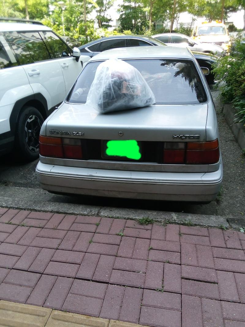InShot_20250610_081204299.jpg