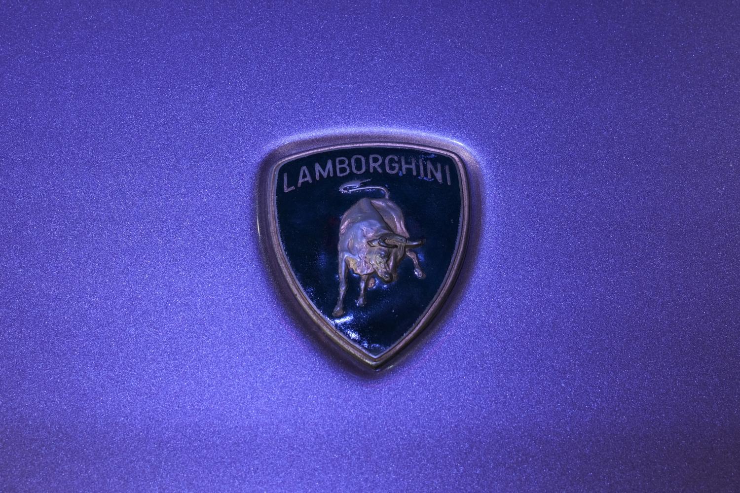 DSCF0361C.JPG