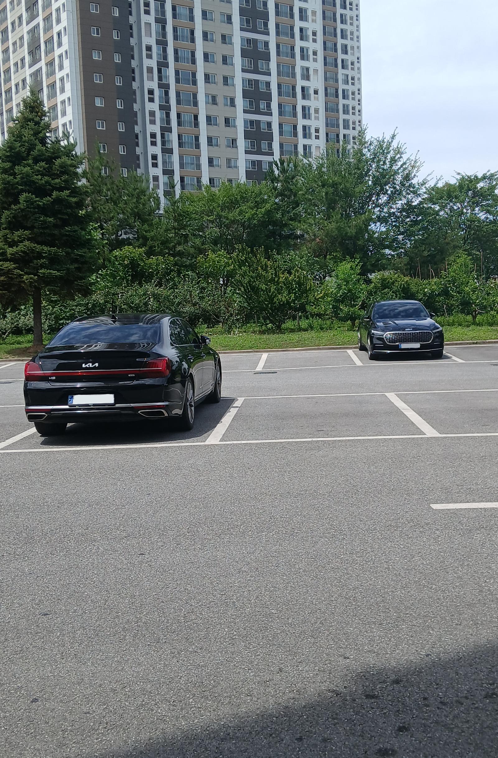 1000113073.jpg